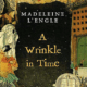 A Wrinkle in Time Epub