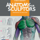 Anatomy For Sculptors PDF